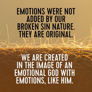Emotions were not added by our broken sinful nature. They are original. We are created in the image of an emotional God, with emotions, like Him.